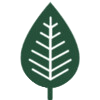 Legal Voices for the Future Leaf Logo